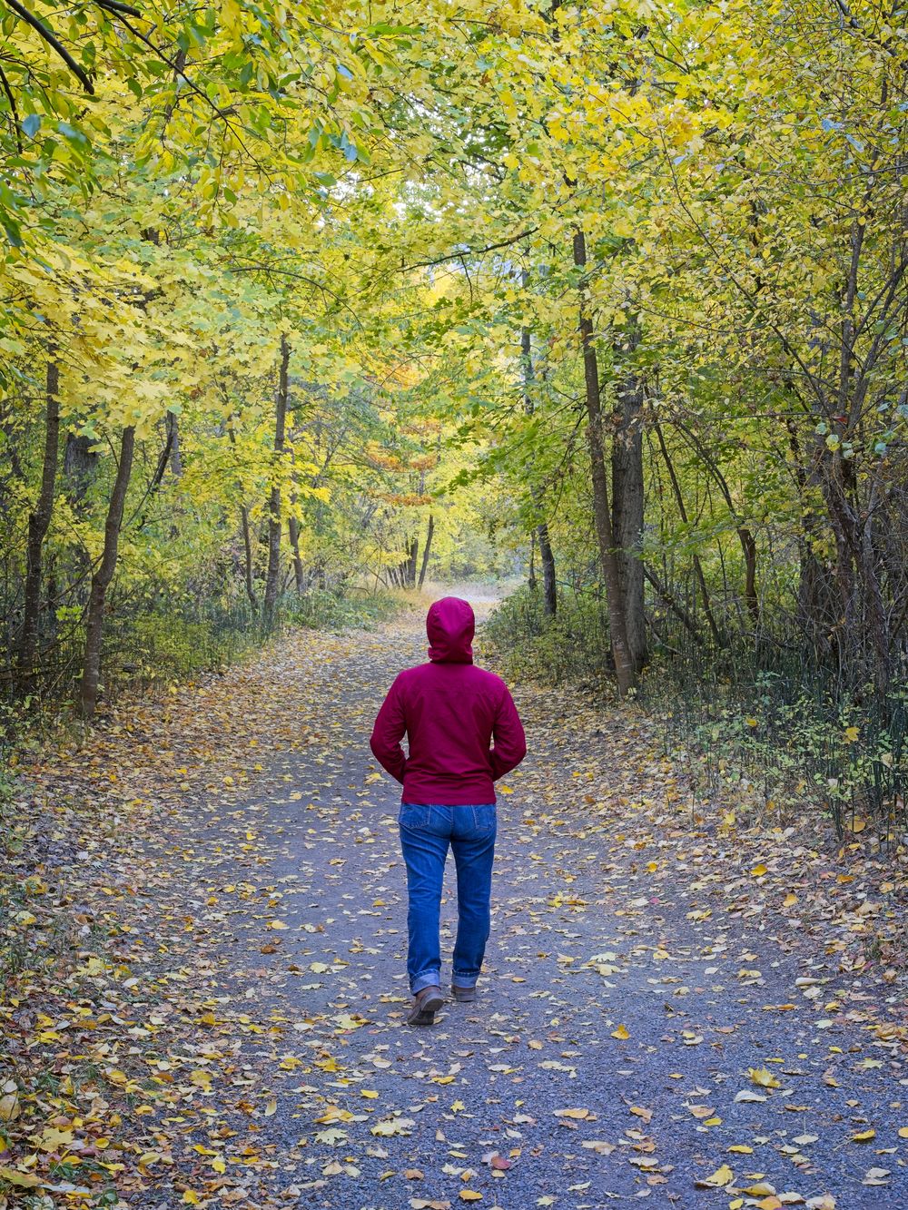 Zumba® nach Burnout: Langsam zurück ins Leben tanzen – Im Detail